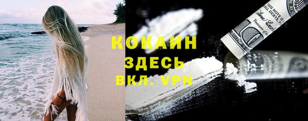 дживик Алзамай