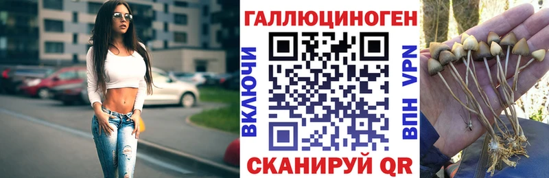 Галлюциногенные грибы GOLDEN TEACHER omg как зайти Цоци-Юрт